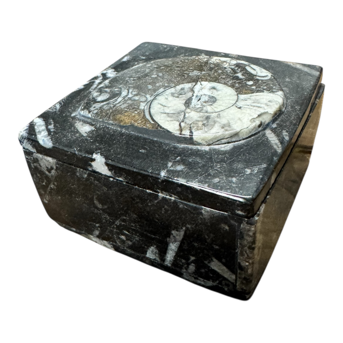 Fossilien Steinschatulle 9x9x5 cm