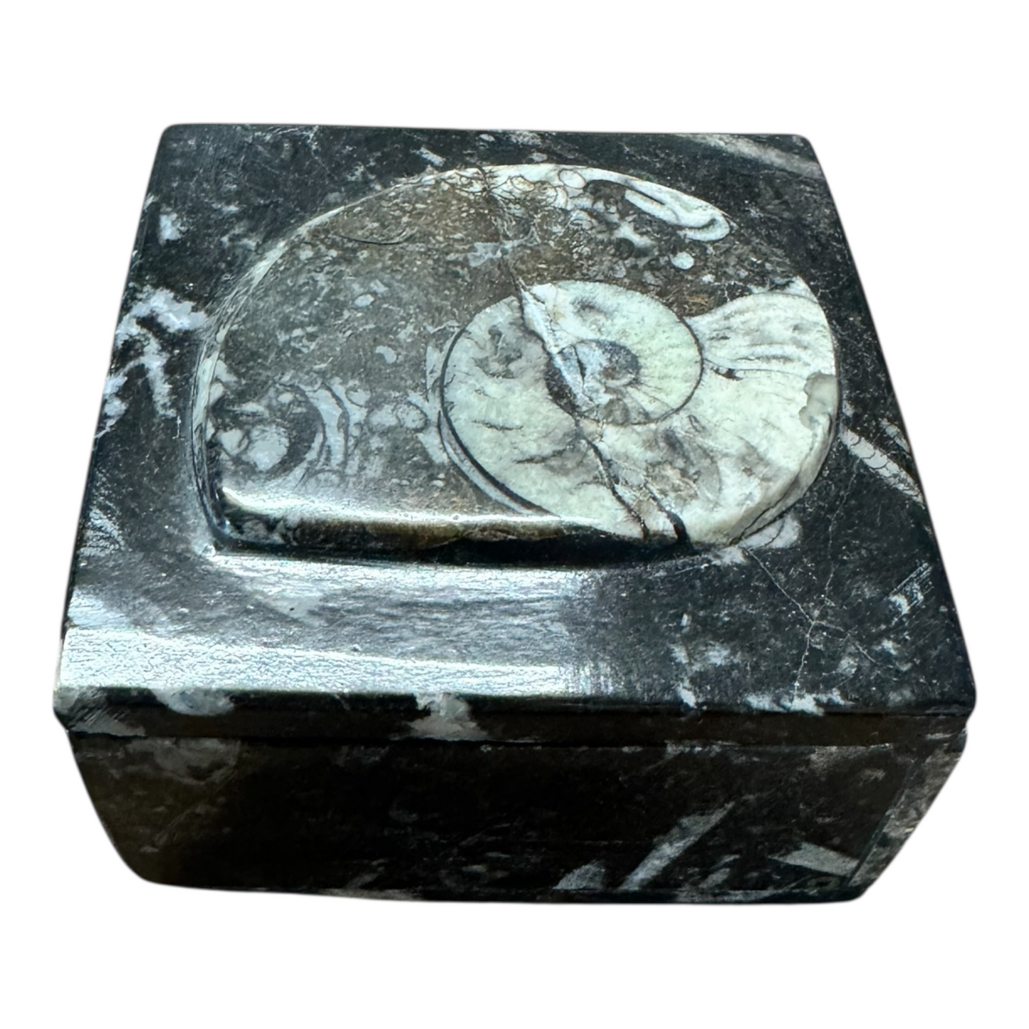 Fossilien Steinschatulle 9x9x5 cm